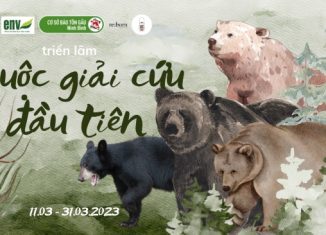 Triển lãm: Cuộc giải cứu đầu tiên