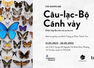 The Showcase Câu-lạc-Bộ Cánh vảy