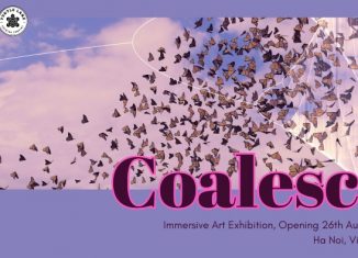 Coalesce: Fragments in the Spotlight