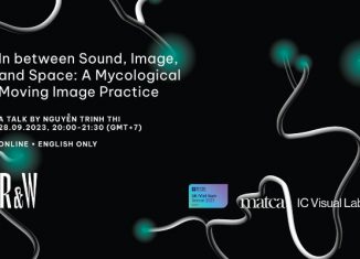 In between Sound, Image, and Space: A Mycological Moving Image Practice