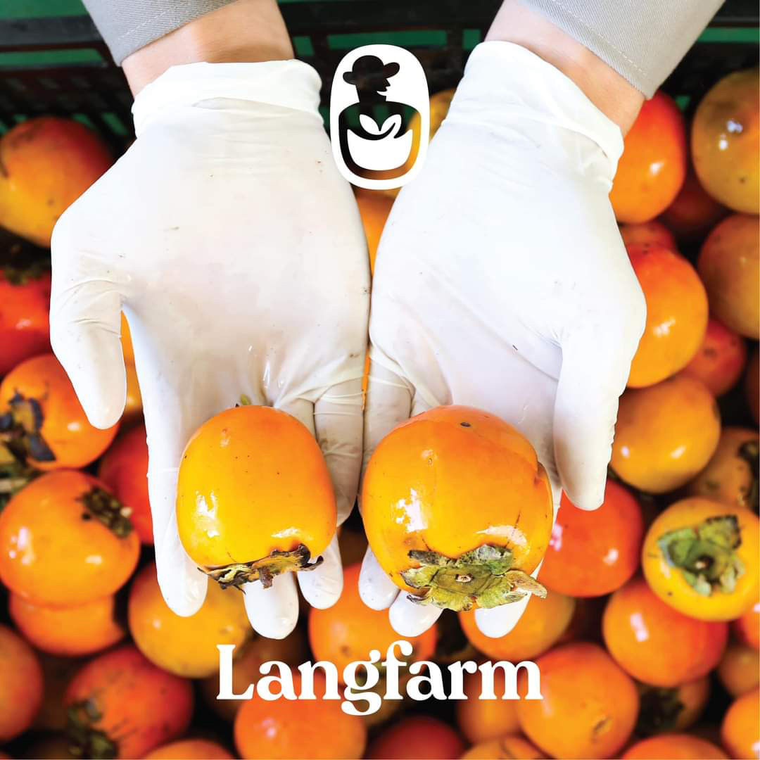 L’angfarm – Hồng sấy treo ra mắt với công nghệ tuyệt đỉnh Nhật Bản