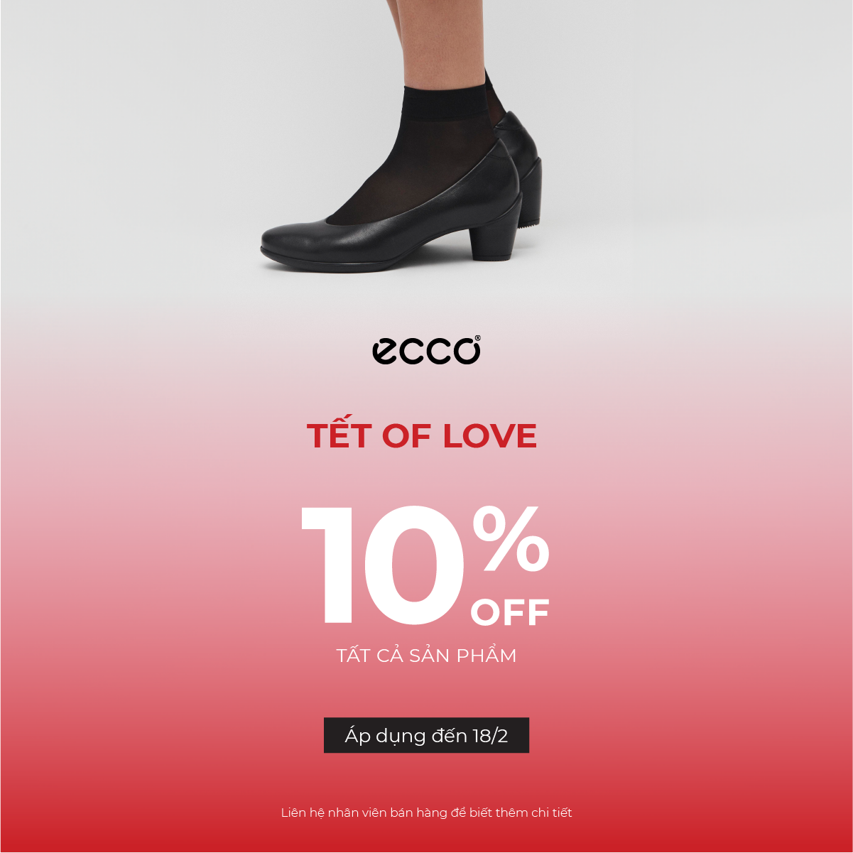 ECCO- TẾT OF LOVE 2024