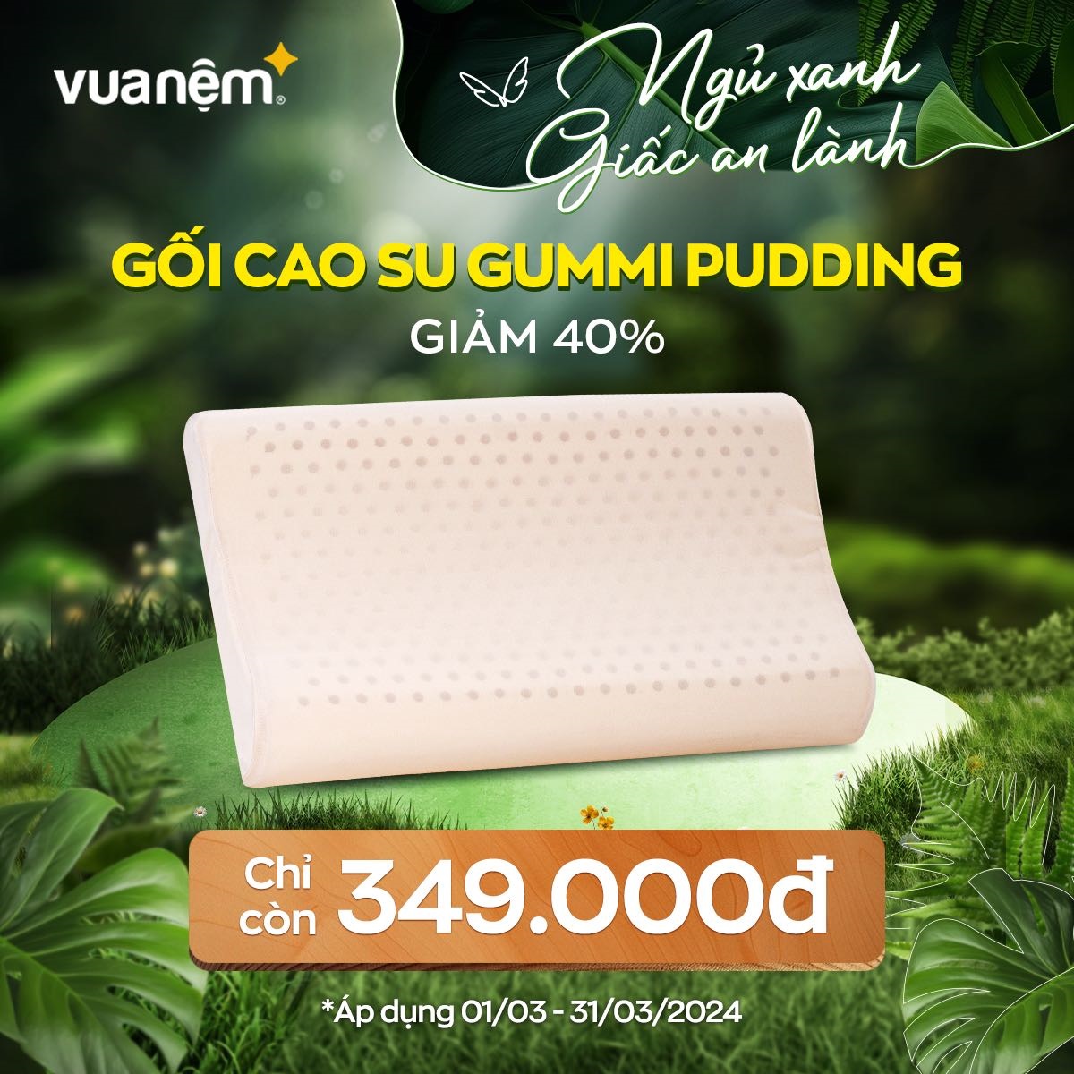 VUA NỆM – TRỌN GIẤC ÊM RU – CHỌN GỐI CAO SU